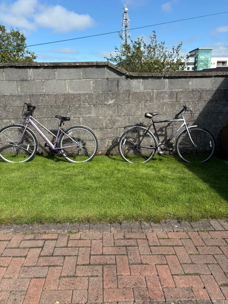 Ladies and gents bikes - Image 1