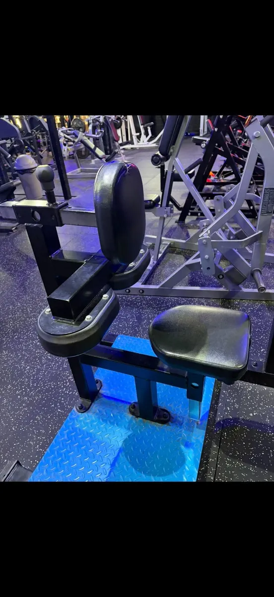 Savage Strength Lateral Pulldown - Image 2