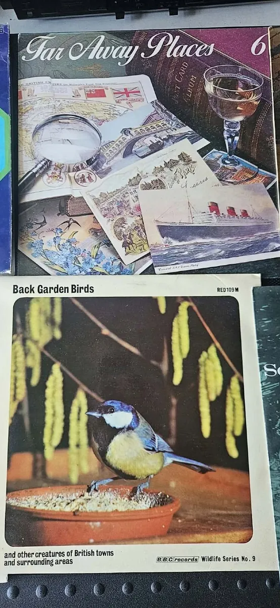Vinyls - Image 2
