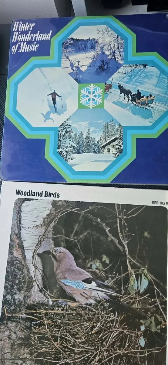 Vinyls - Image 4