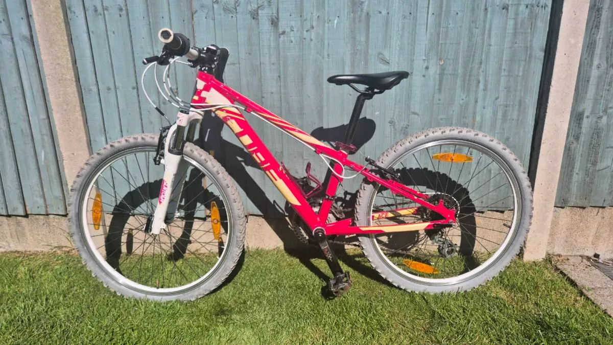 Kids 24" cube bike - Image 2