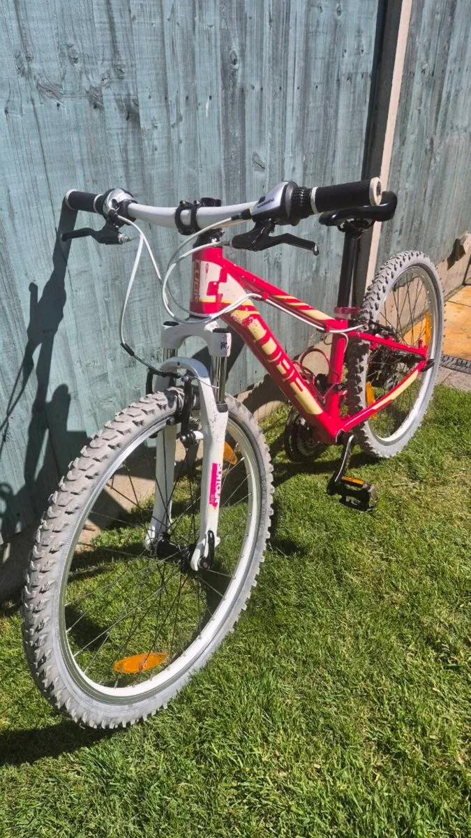 Kids 24" cube bike - Image 3