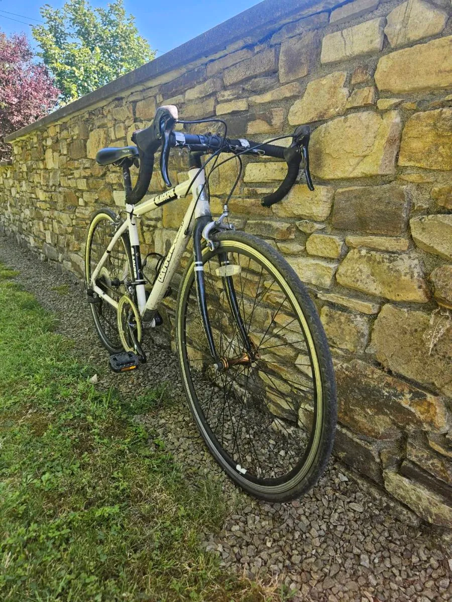 Barracuda racing bike - Image 2