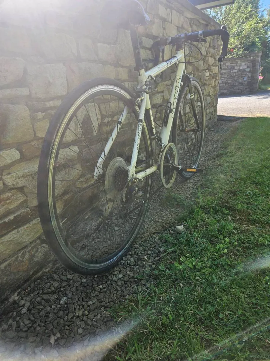 Barracuda racing bike - Image 3