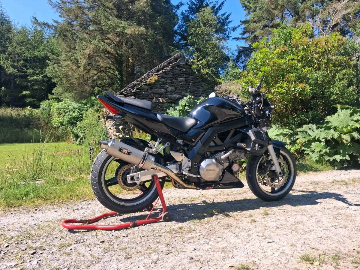 Suzuki sv1000 - Image 1