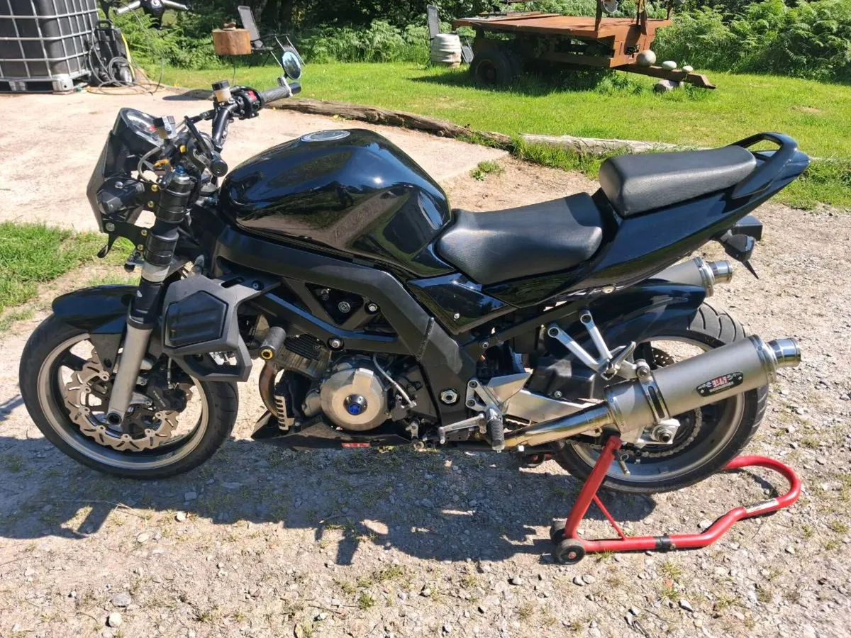 Suzuki sv1000 - Image 4