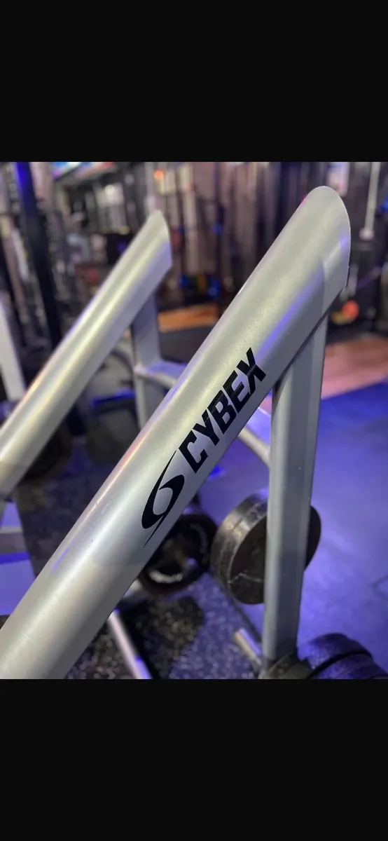 Cybex MK2 Leg Press - Image 1