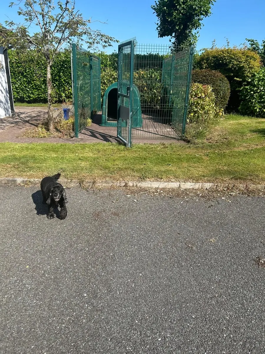 Dog kennel - Image 2