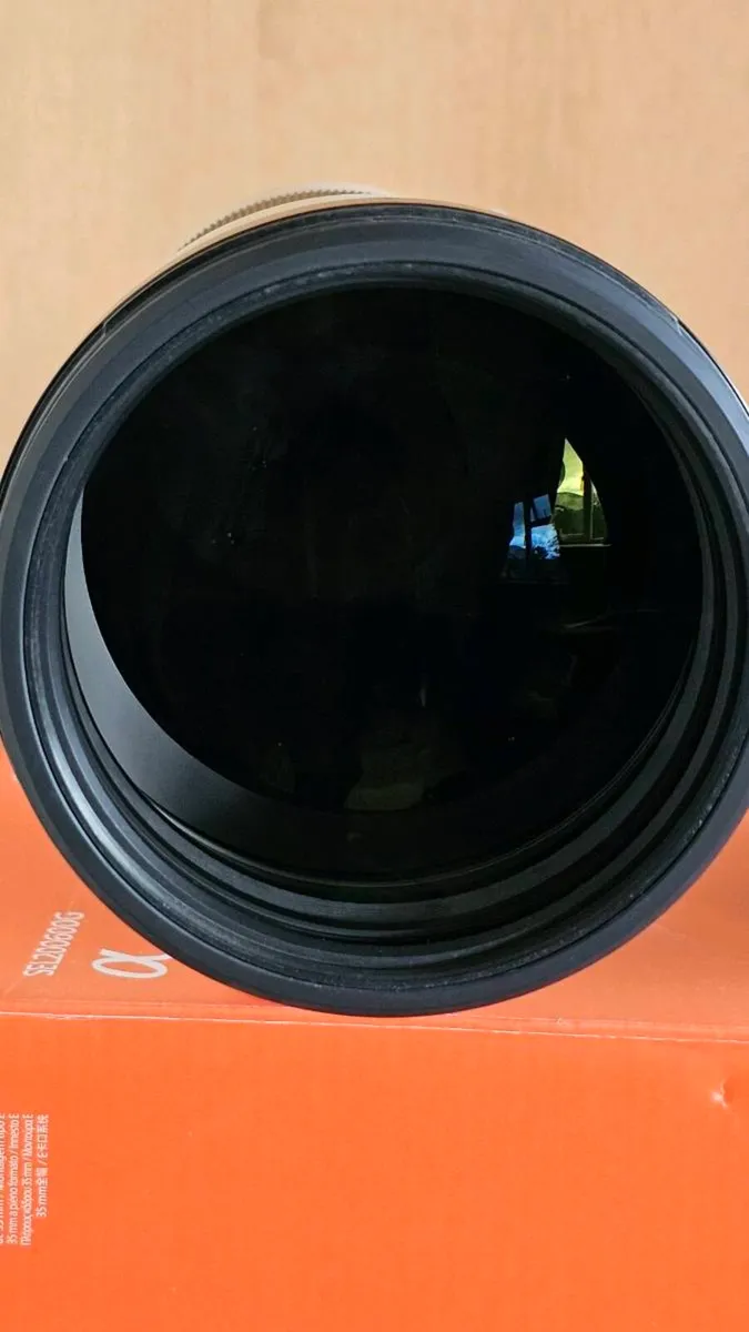 Sony 200-600 f 5.6-6.3 - Image 2