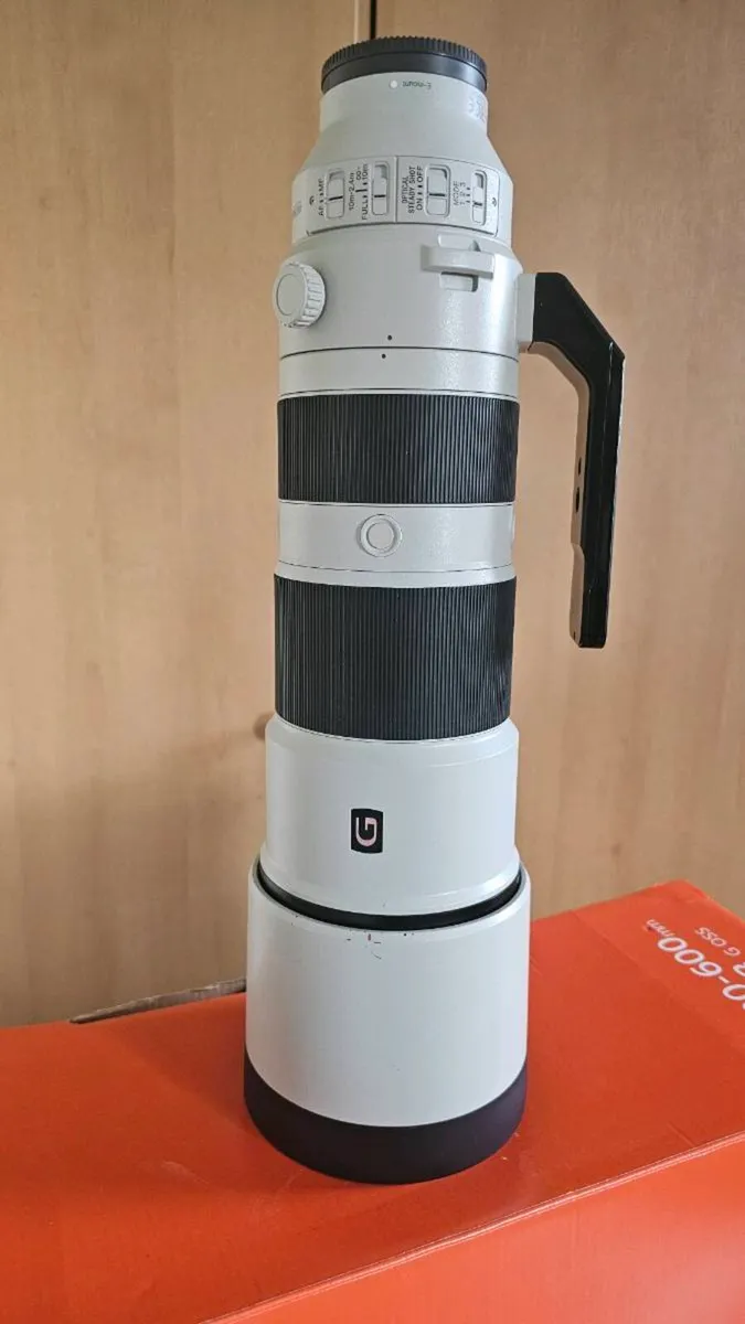 Sony 200-600 f 5.6-6.3 - Image 4