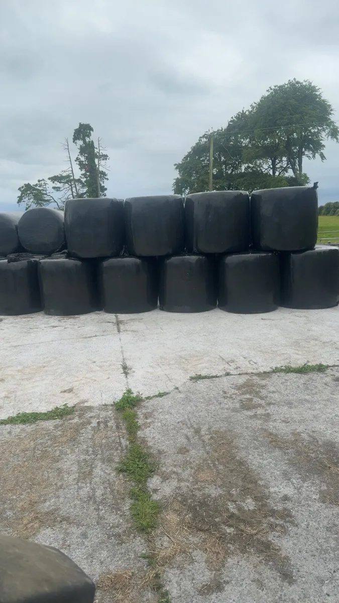Haylage - Image 4