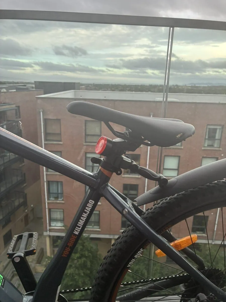 Electric bike - Image 2