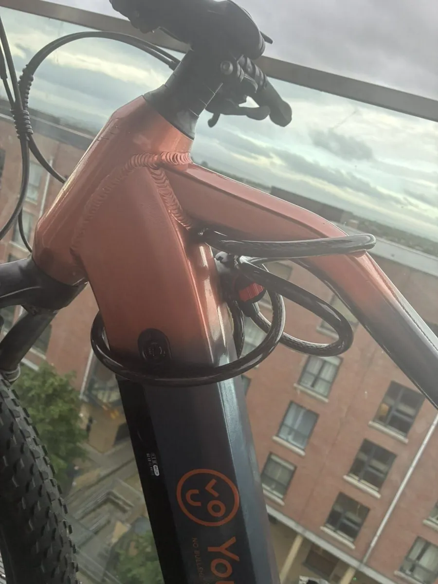 Electric bike - Image 3