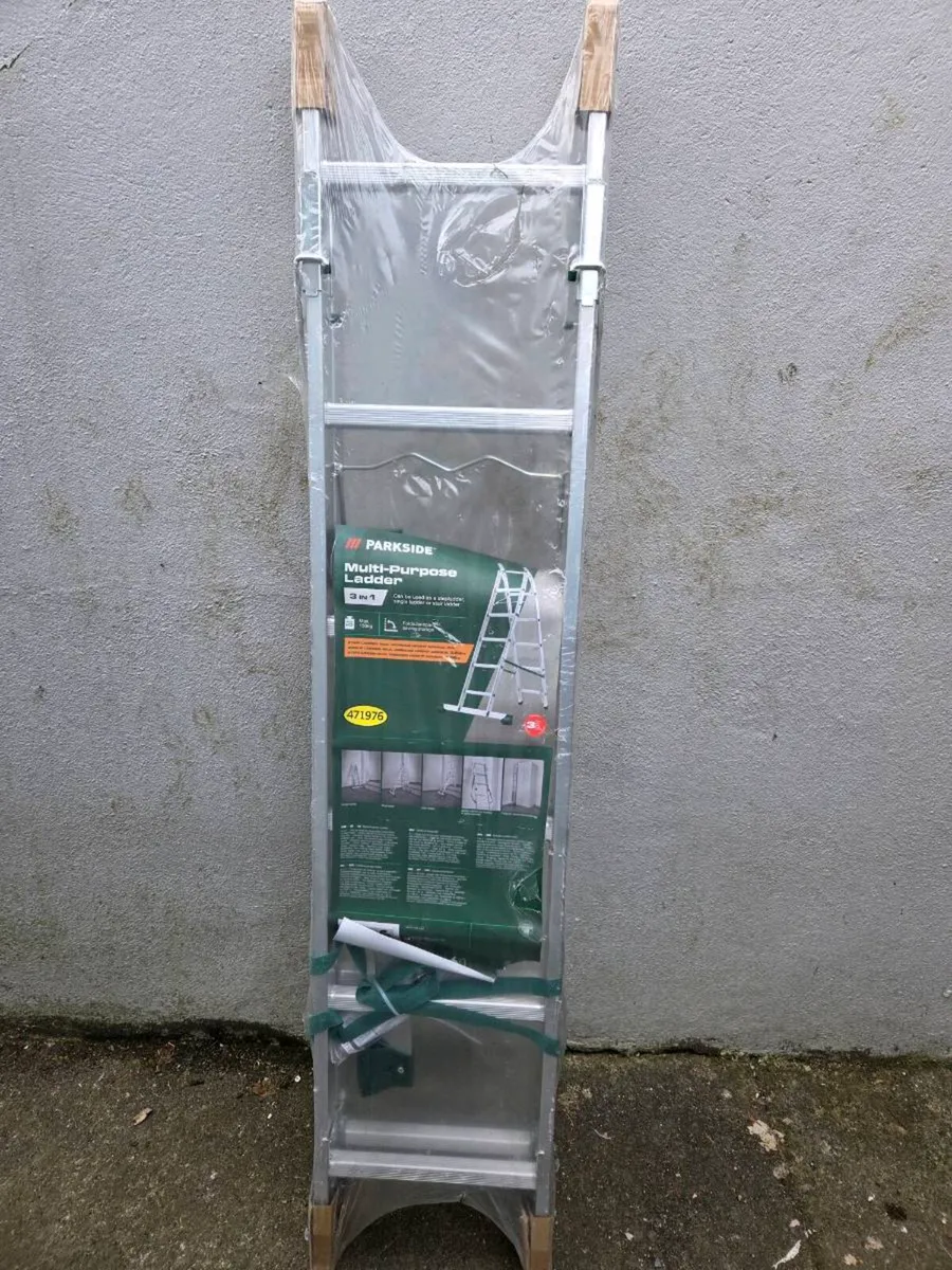 Ladder - Image 1
