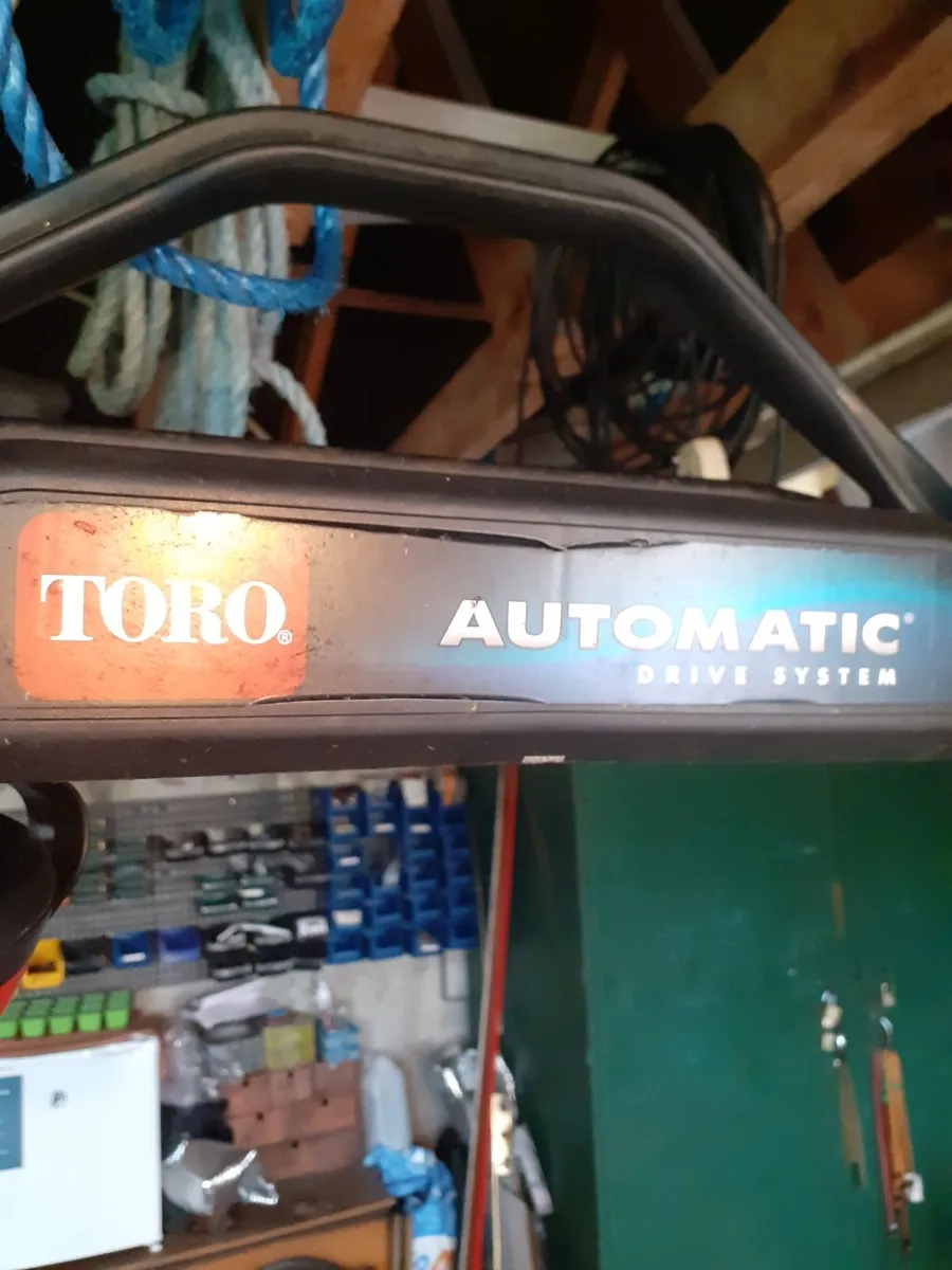 Toro Toro Toro  WANTED - Image 3