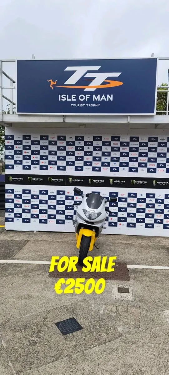 Yamaha thundercat - Image 2