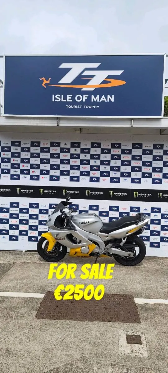 Yamaha thundercat - Image 3