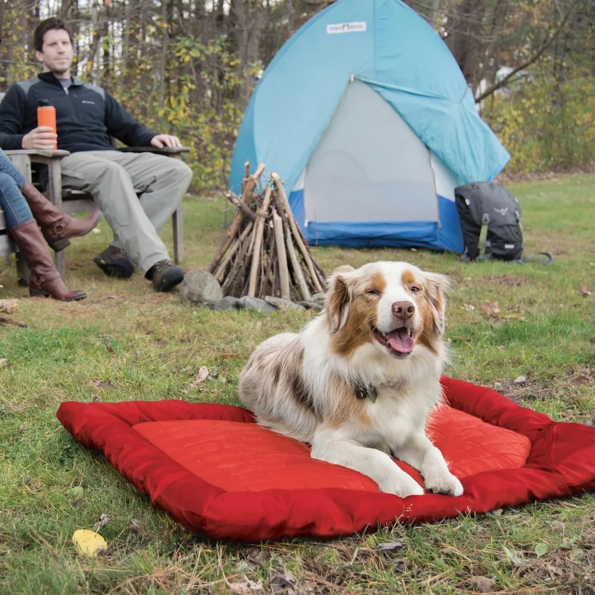 Water Resistant Dog Bed Large Size BRAND NEW - Image 3