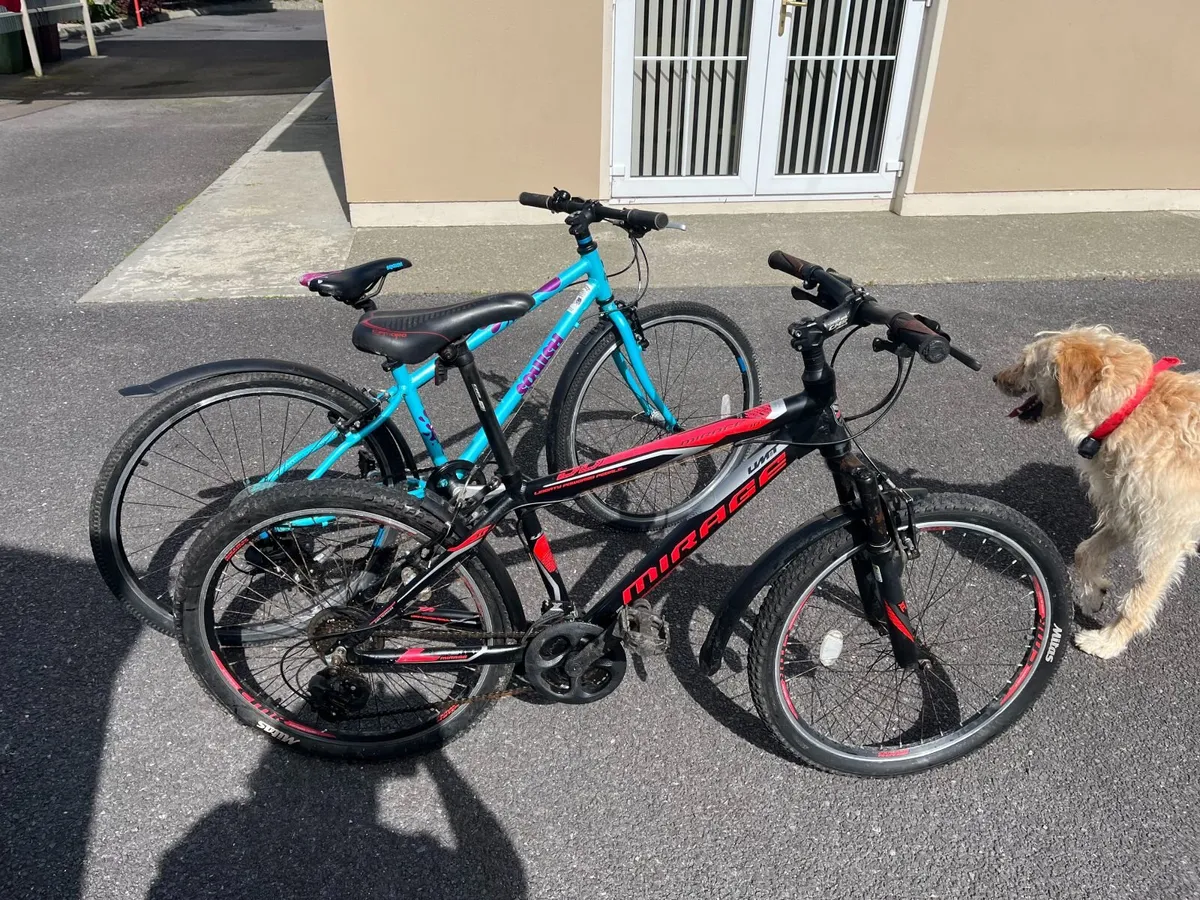 Two Bikes Girls and Boys  7 -9 years - Image 3