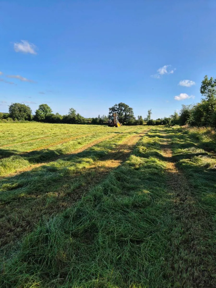 Hay and haylage for sale - Image 3
