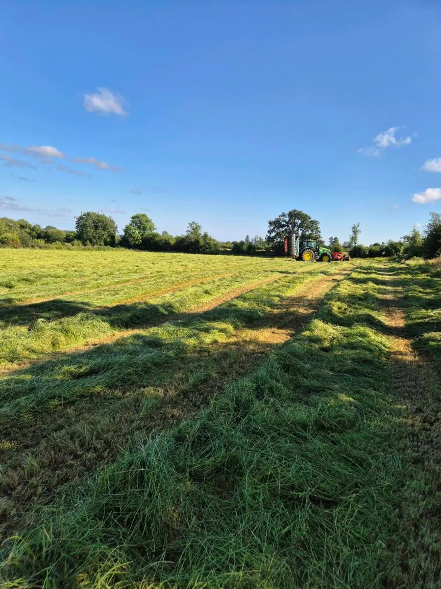 Hay and haylage for sale - Image 2