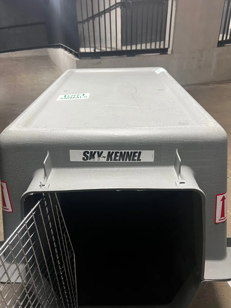 Petmate Sky Kennel XL (48”) IATA Airline Dog Crate - Image 4