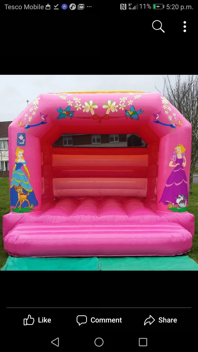 Bouncy Castle Business For Sale - Image 1