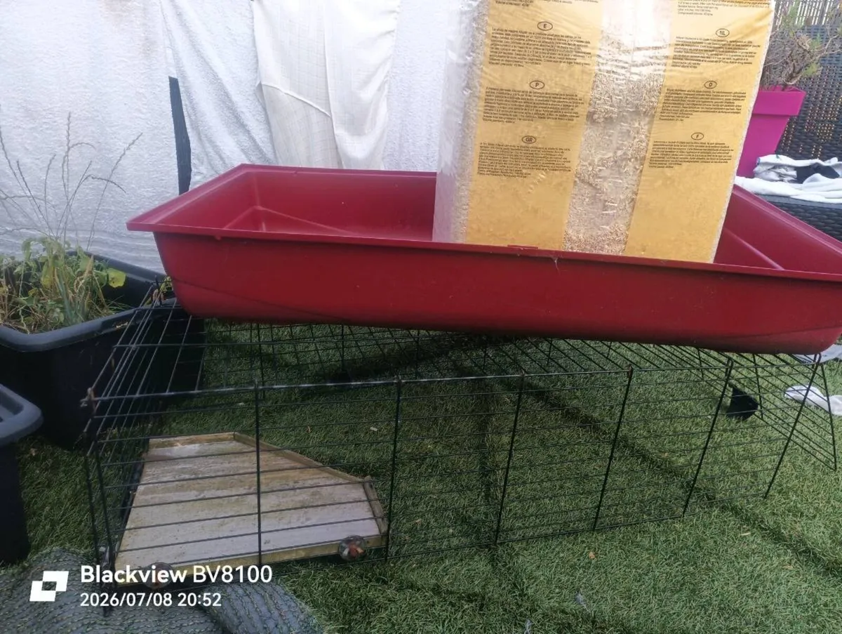 Large cage for guinea pig or rabbit - Image 2