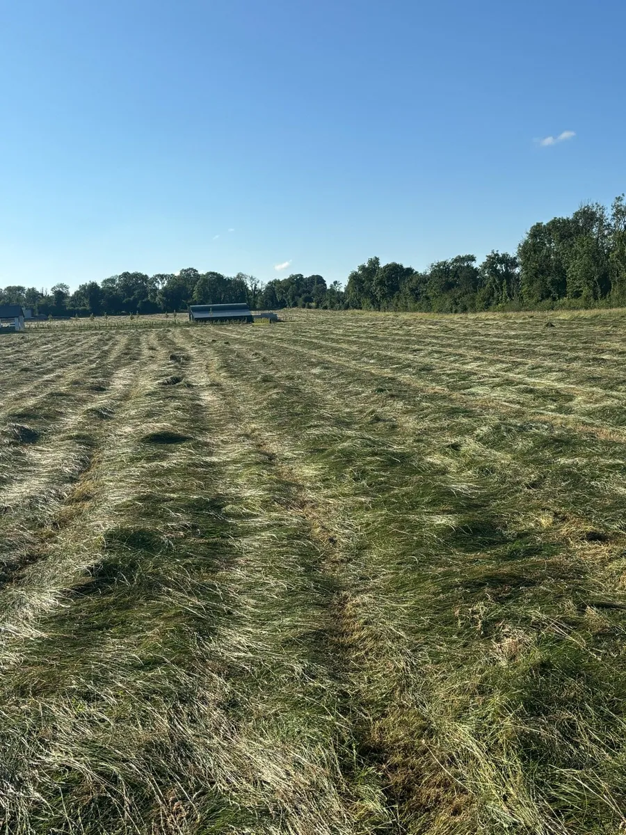 Silage
