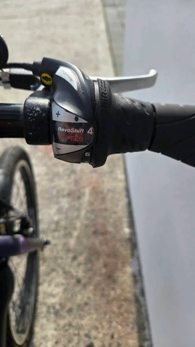 Carrera Saruna Junior Hybrid Bike, - Image 4
