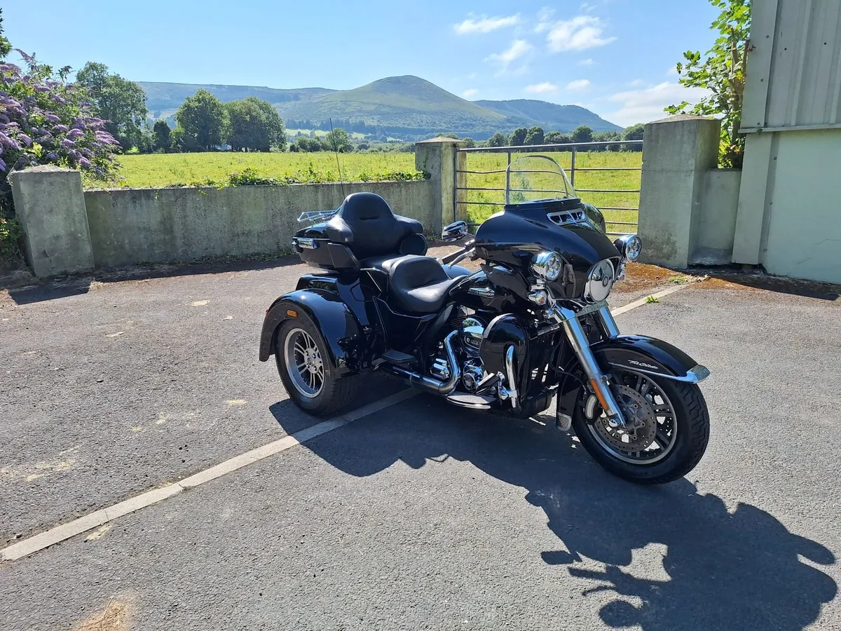 Trike - Image 4