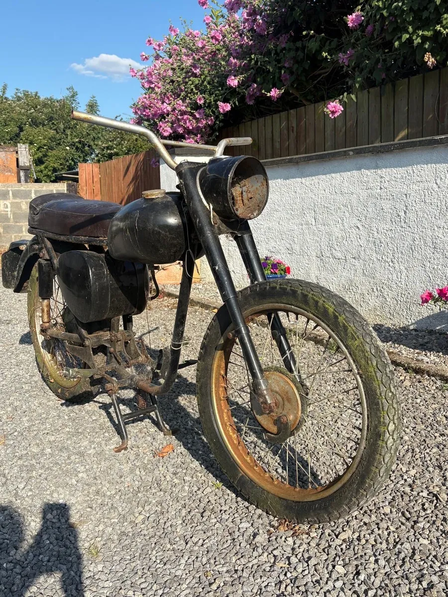 Shed clear out - Image 1