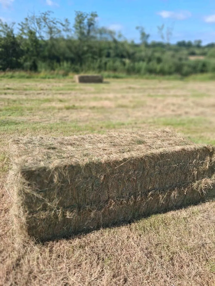 Big Square Hay - Image 1