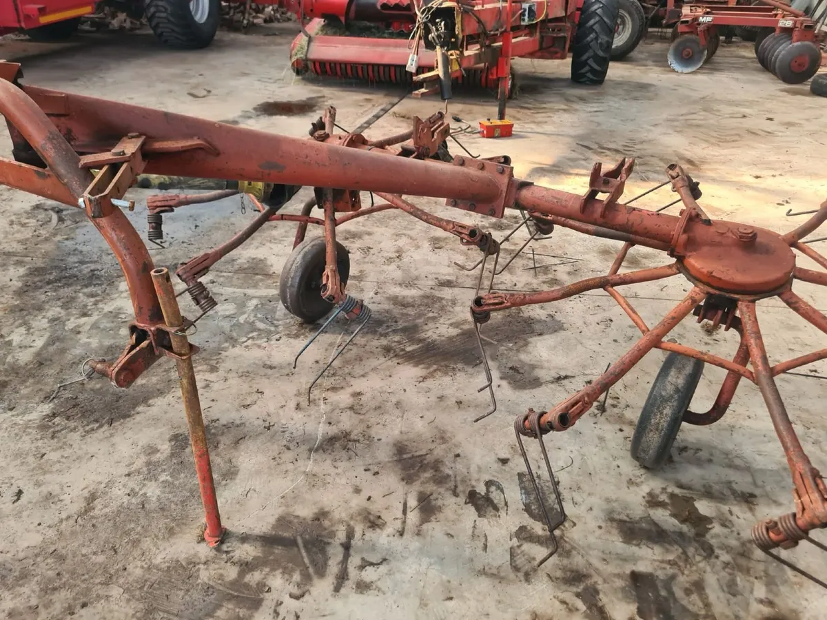 Gemini Tedder - Image 2
