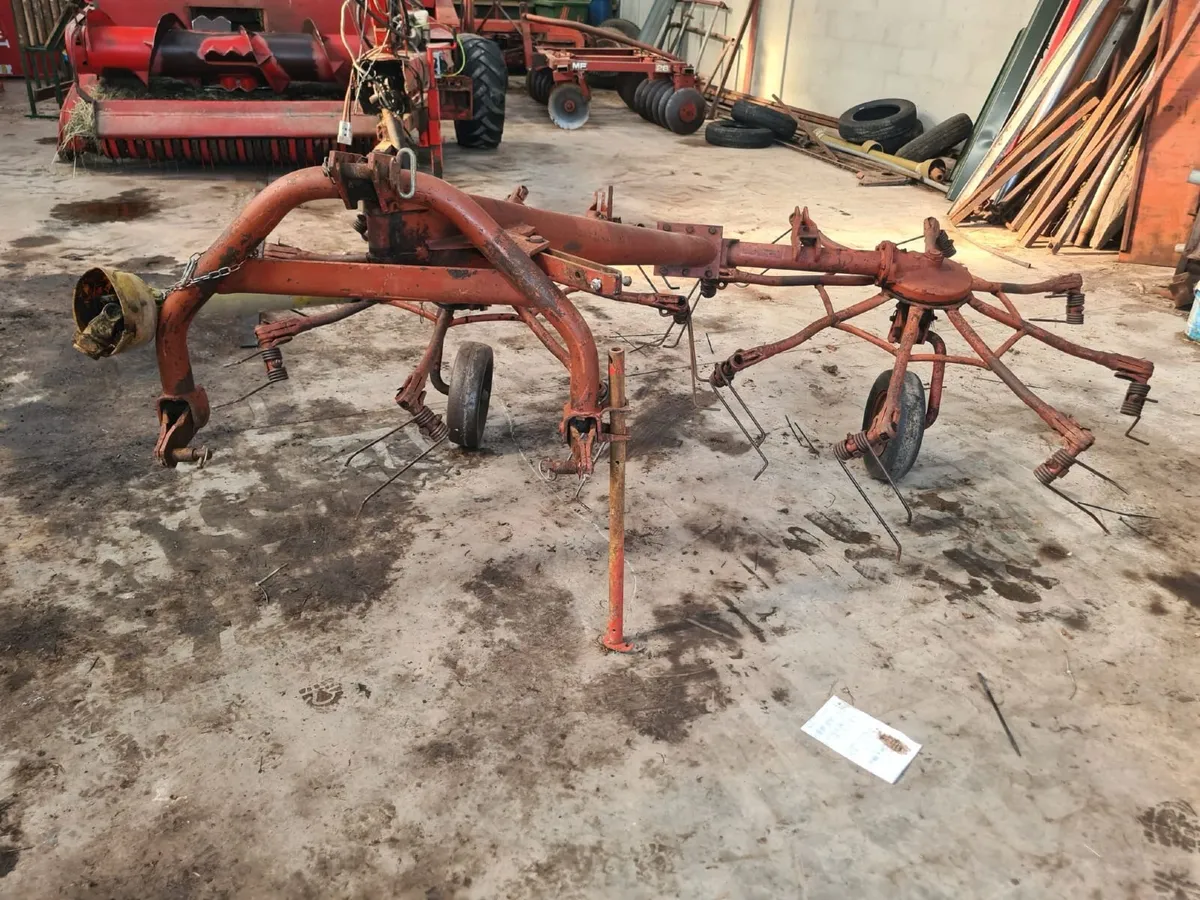 Gemini Tedder - Image 3