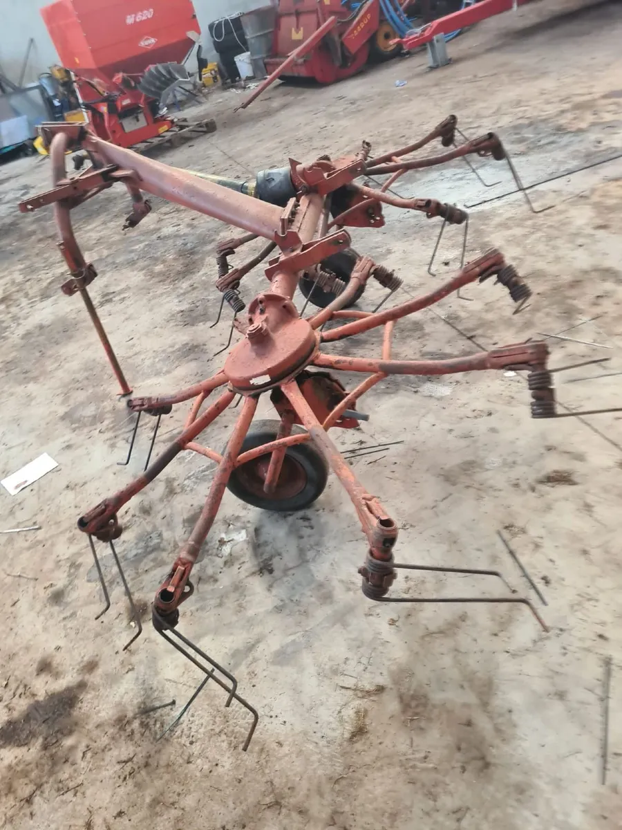 Gemini Tedder - Image 4