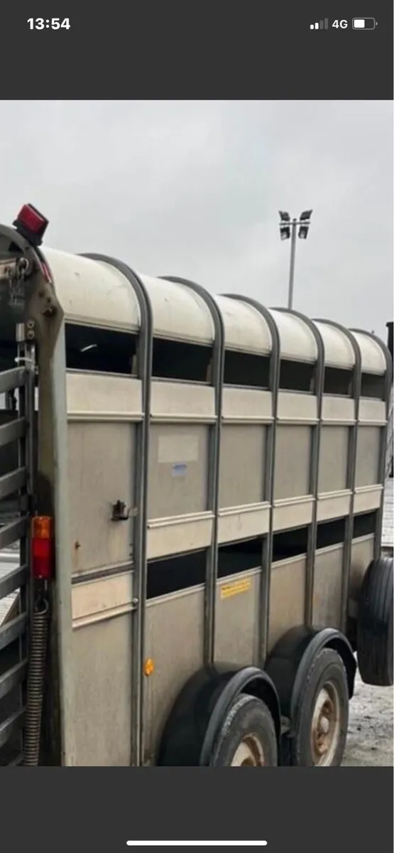 Ifor Williams 12ft - Image 1