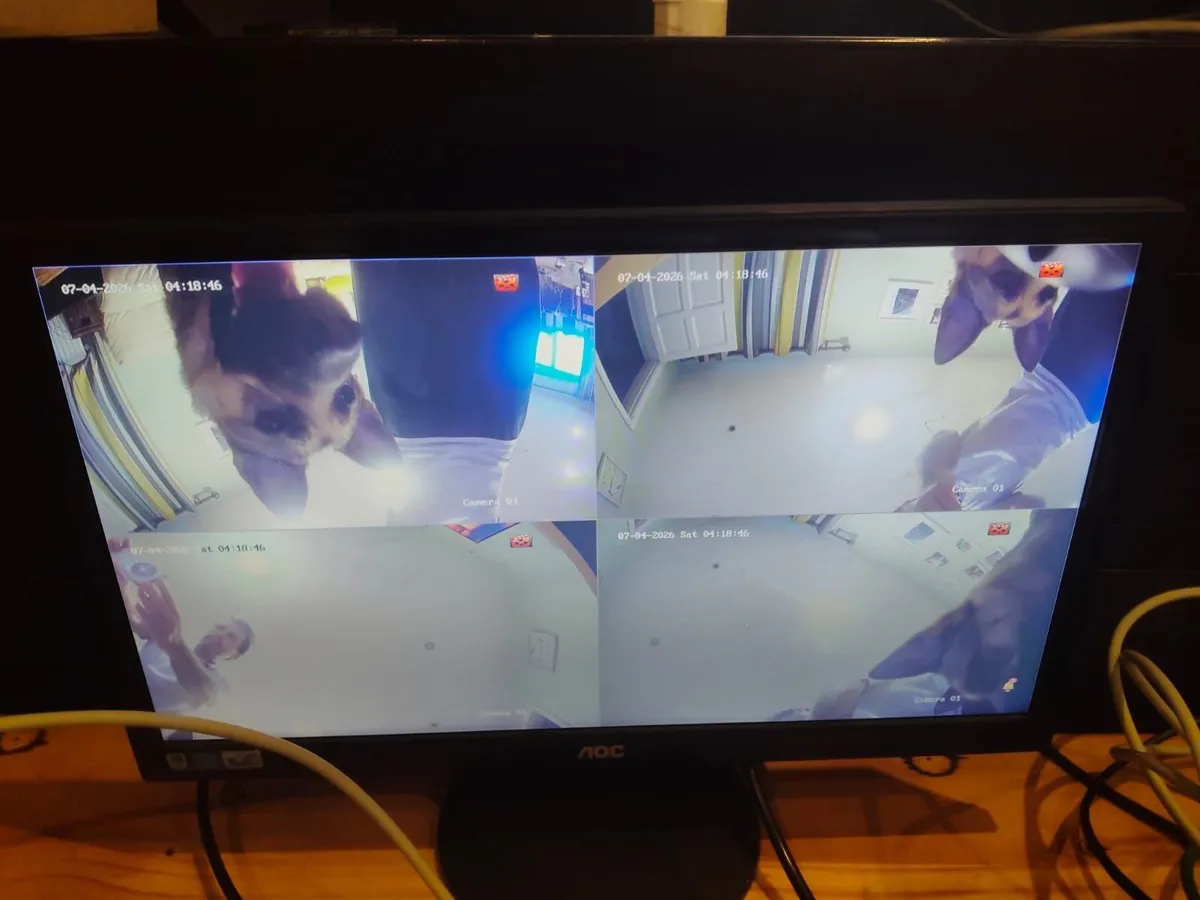 Complete Hikvision 4-Camera PoE CCTV System – 8-Ch - Image 3