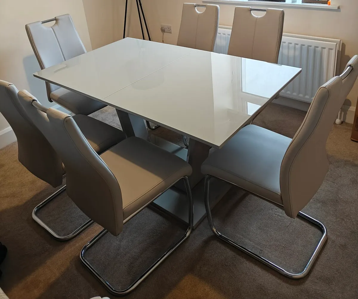 Table & 6 chairs - Image 1