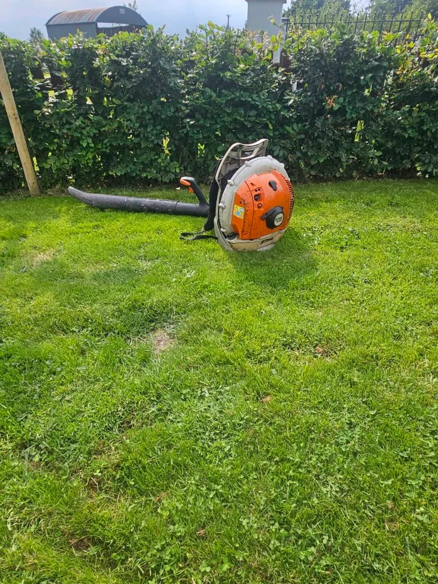 Stihl blower - Image 1