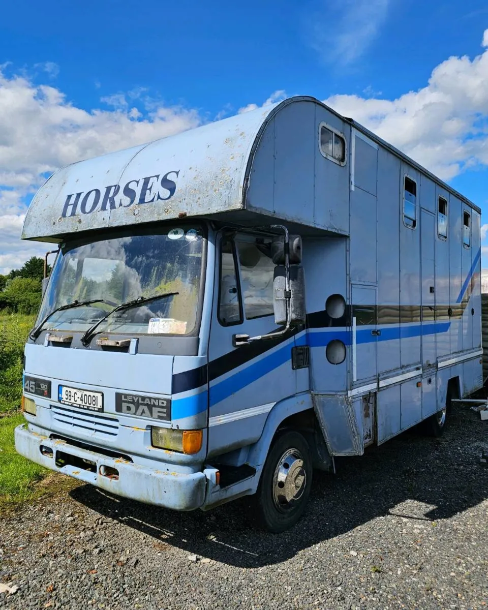 1998 Leyland DAF 45.130 Ti 3 Horse Lorry – Drives - Image 1