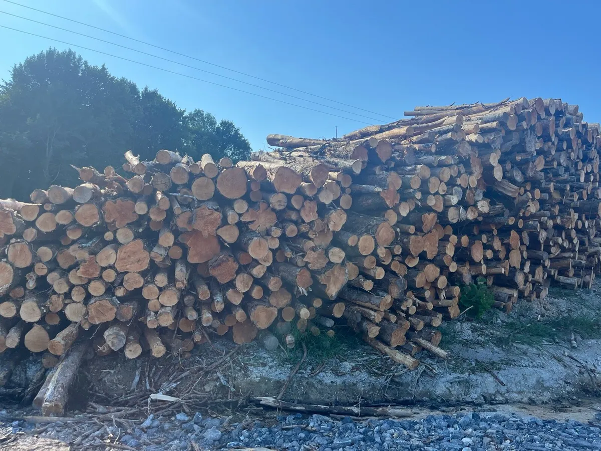 Alder ex forestry for sale - Image 1