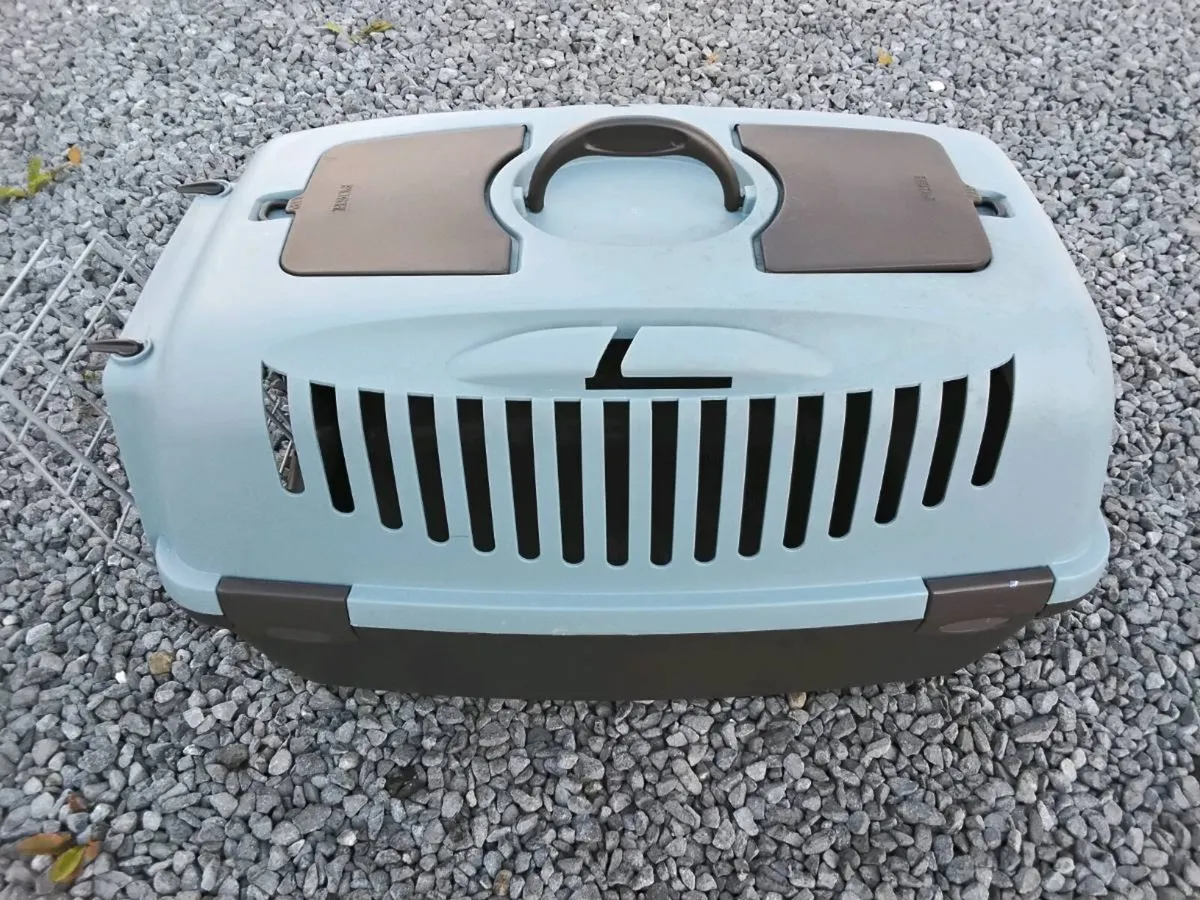 Pet Accessories - Image 1