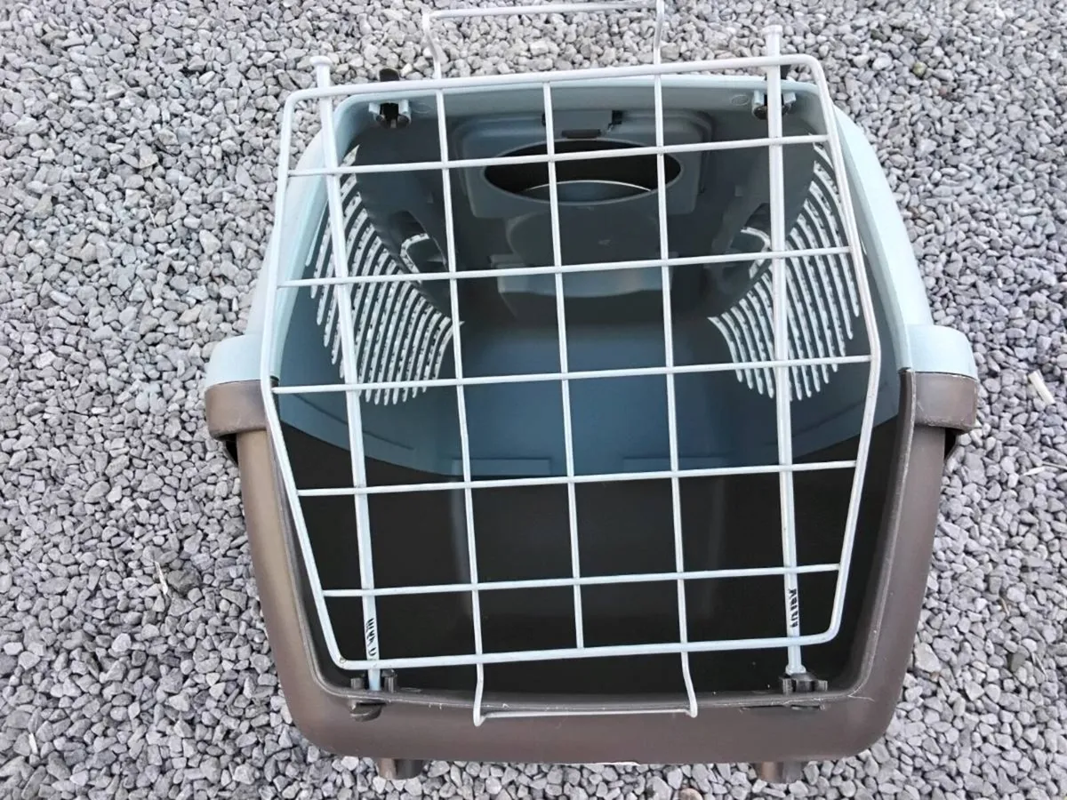 Pet Accessories - Image 2