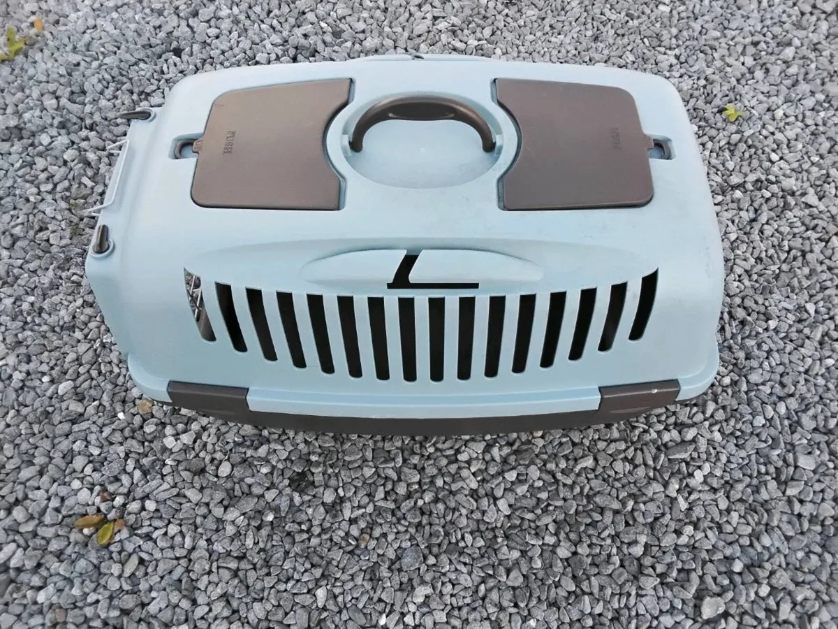 Pet Accessories - Image 3