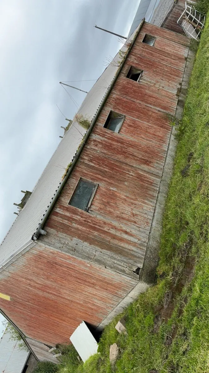Pig shed - Image 1