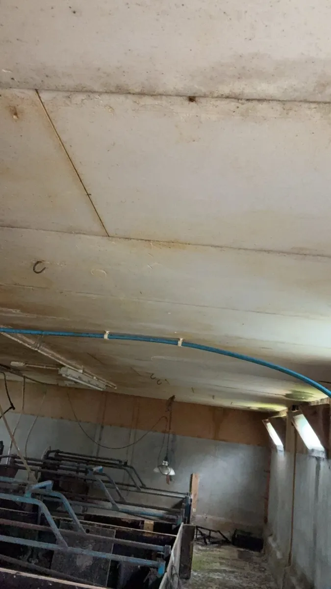 Pig shed - Image 3