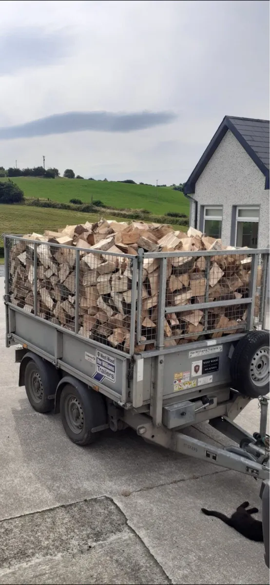 Firewood - Special summer offers - Image 1