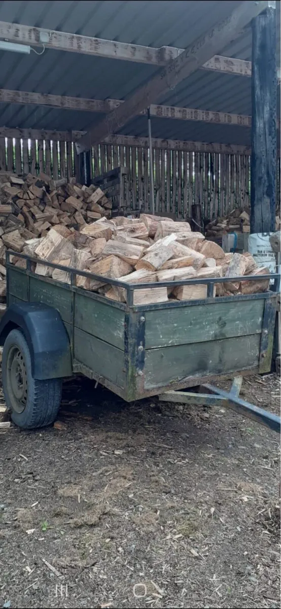 Firewood - Special summer offers - Image 2