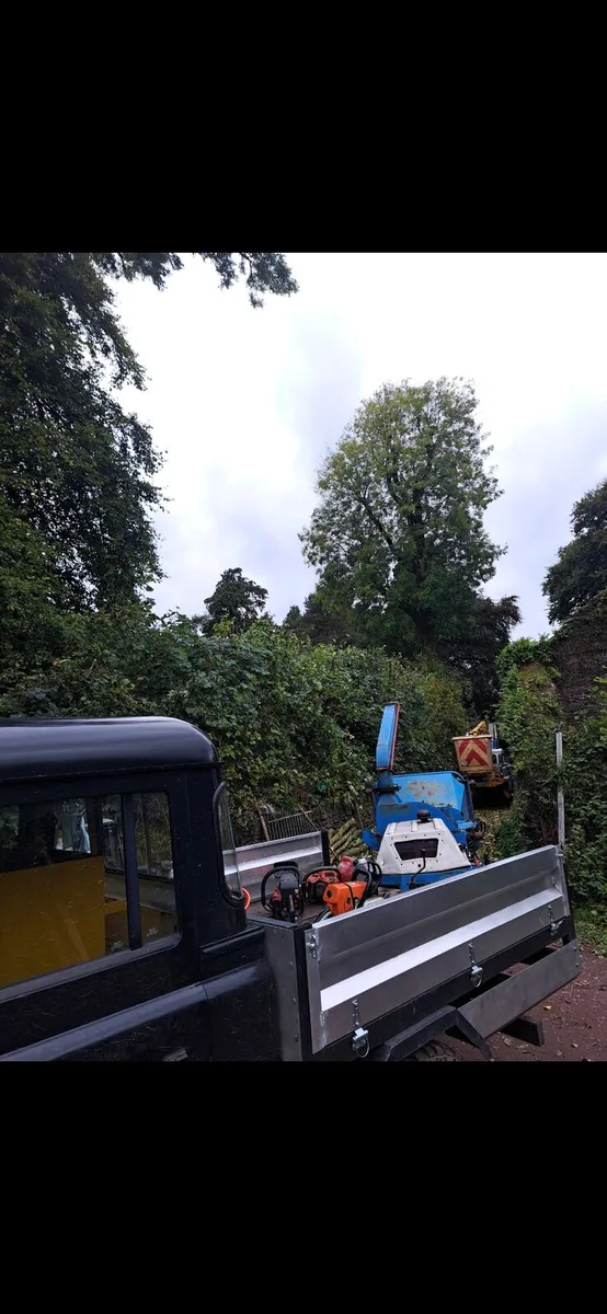 Tree care - Image 2
